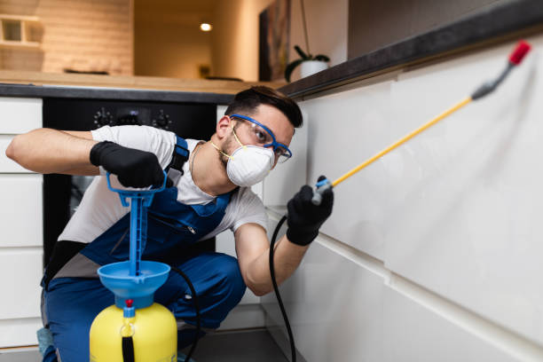 Best Best Pest Control Companies  in Aragon, GA