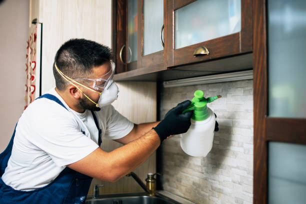 Best Flea Control Services  in Aragon, GA