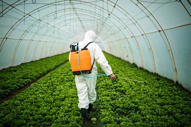 Pest Prevention Services in Aragon, GA