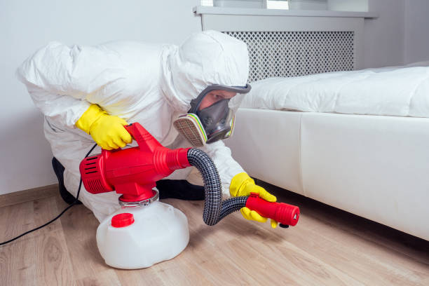 Best Mosquito Control Services  in Aragon, GA