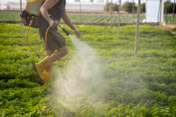 Best Pest Prevention Services  in Aragon, GA
