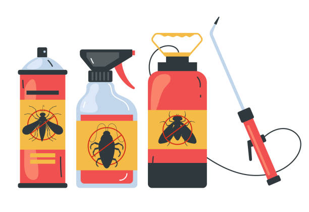 Best Insect Control  in Aragon, GA