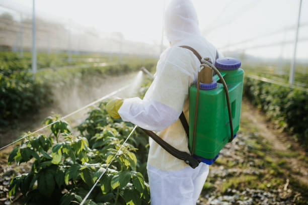 Reliable Aragon, GA Pest Control Solutions